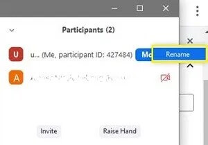 Zoom rename username